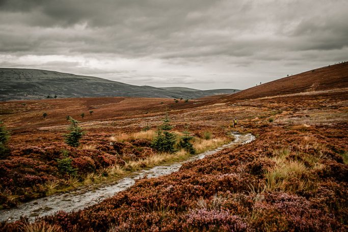 TIMELESS LANDSCAPE