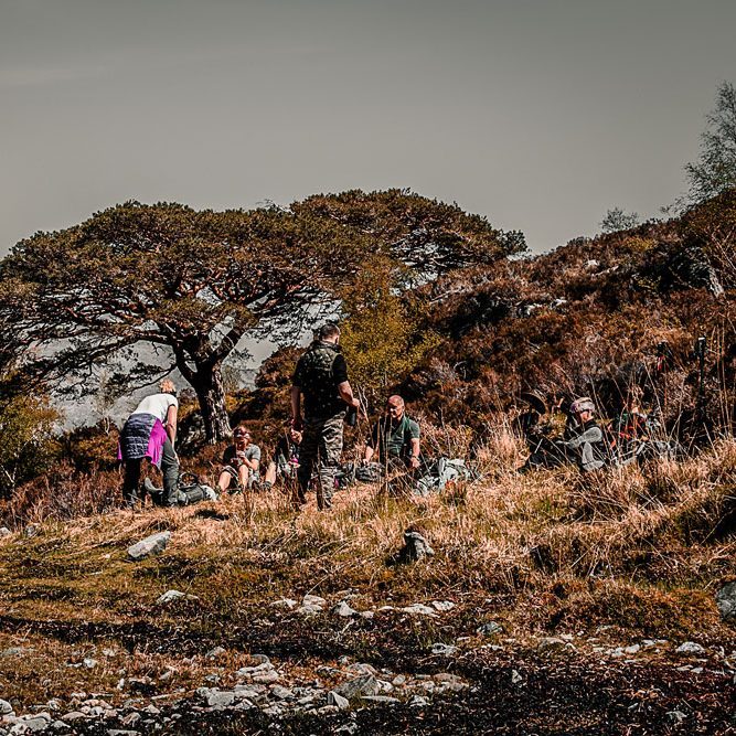 Hiking group taking a break Hiking group taking a break beneath ancient Scots pine trees in the Scottish Highlands.